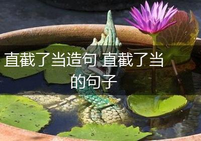 直截了当造句 直截了当的句子