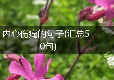内心伤痛的句子(汇总50句)