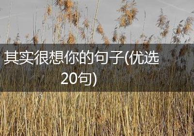 其实很想你的句子(优选20句)