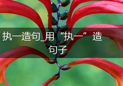 执一造句_用“执一”造句子