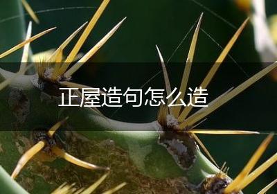 正屋造句怎么造