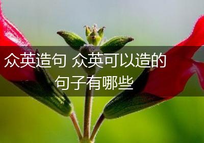 众英造句 众英可以造的句子有哪些