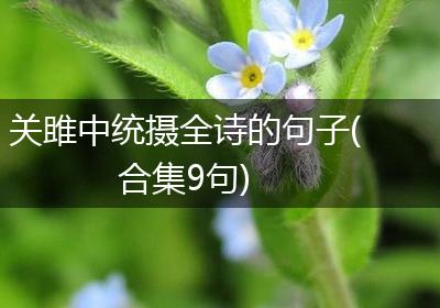 关雎中统摄全诗的句子(合集9句)
