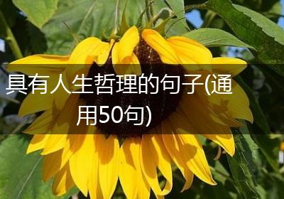 具有人生哲理的句子(通用50句)