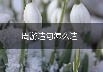周游造句怎么造