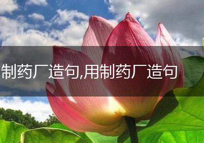 制药厂造句,用制药厂造句
