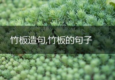 竹板造句,竹板的句子