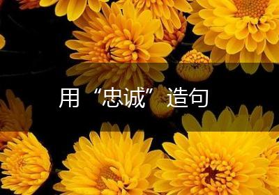 用“忠诚”造句