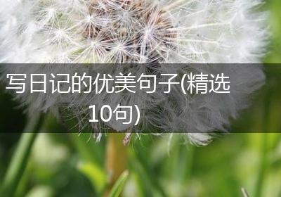 写日记的优美句子(精选10句)