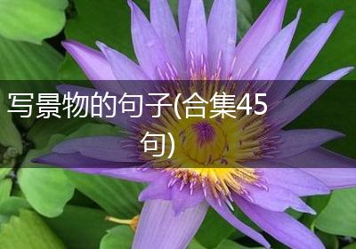 写景物的句子(合集45句)