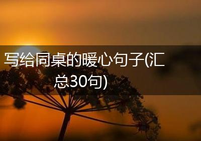 写给同桌的暖心句子(汇总30句)