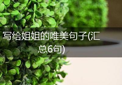 写给姐姐的唯美句子(汇总6句)