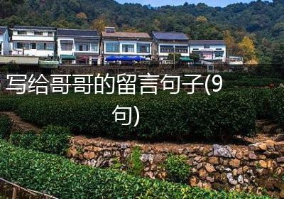 写给哥哥的留言句子(9句)