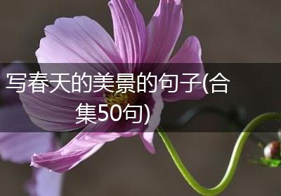 写春天的美景的句子(合集50句)