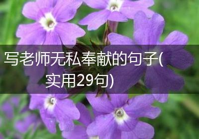 写老师无私奉献的句子(实用29句)