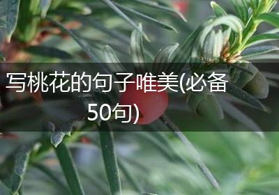 写桃花的句子唯美(必备50句)