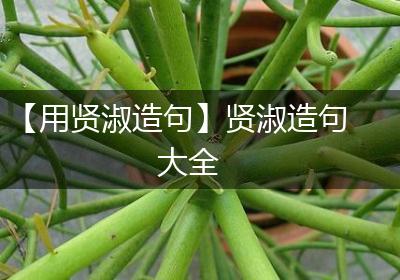 【用贤淑造句】贤淑造句大全