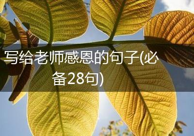 写给老师感恩的句子(必备28句)