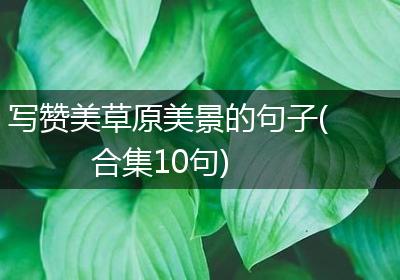 写赞美草原美景的句子(合集10句)