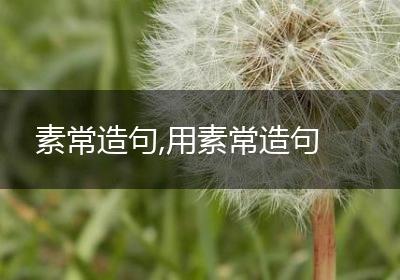 素常造句,用素常造句
