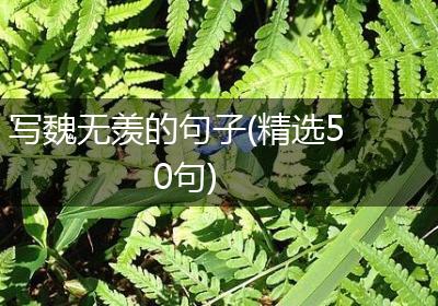 写魏无羡的句子(精选50句)