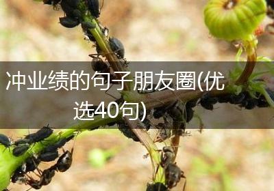 冲业绩的句子朋友圈(优选40句)