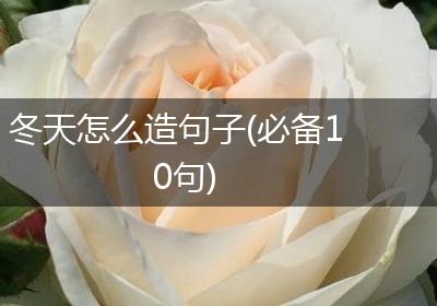 冬天怎么造句子(必备10句)