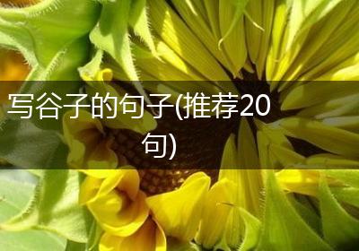 写谷子的句子(推荐20句)
