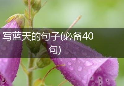 写蓝天的句子(必备40句)