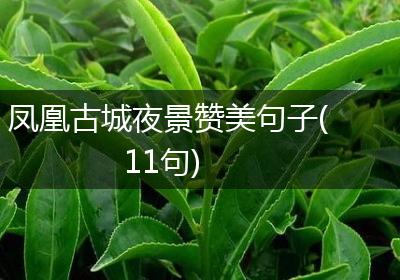 凤凰古城夜景赞美句子(11句)