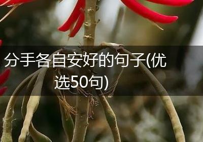 分手各自安好的句子(优选50句)