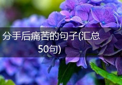 分手后痛苦的句子(汇总50句)