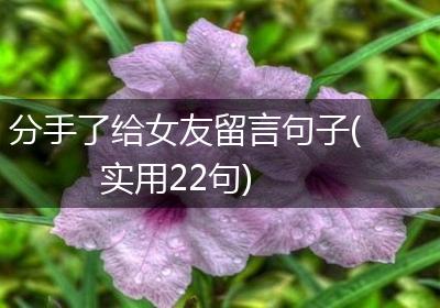 分手了给女友留言句子(实用22句)