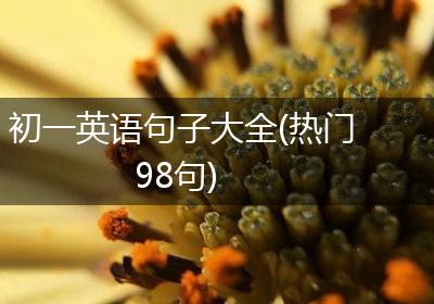 初一英语句子大全(热门98句)