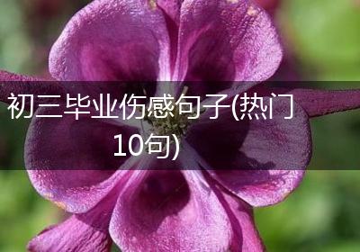 初三毕业伤感句子(热门10句)