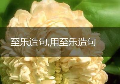 至乐造句,用至乐造句