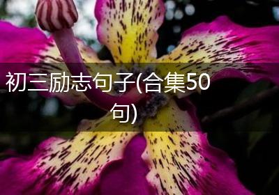 初三励志句子(合集50句)