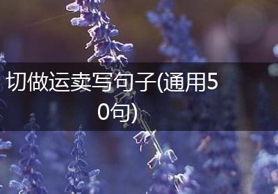切做运卖写句子(通用50句)