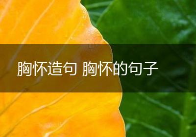 胸怀造句 胸怀的句子