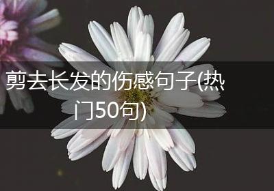 剪去长发的伤感句子(热门50句)