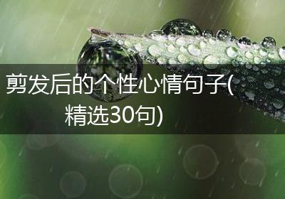 剪发后的个性心情句子(精选30句)
