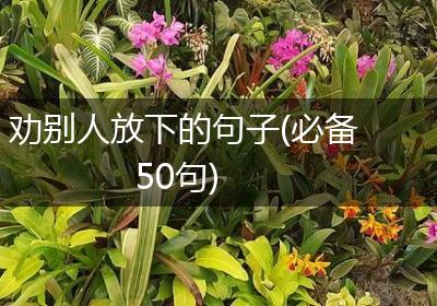 劝别人放下的句子(必备50句)