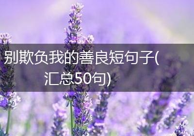 别欺负我的善良短句子(汇总50句)