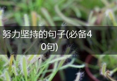 努力坚持的句子(必备40句)