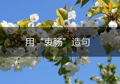 用“衷肠”造句