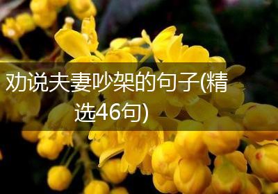 劝说夫妻吵架的句子(精选46句)