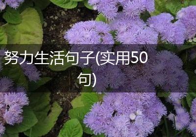 努力生活句子(实用50句)