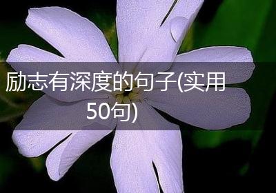 励志有深度的句子(实用50句)