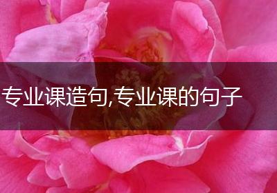 专业课造句,专业课的句子
