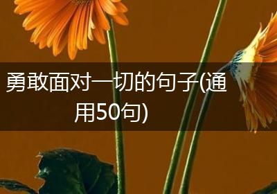 勇敢面对一切的句子(通用50句)